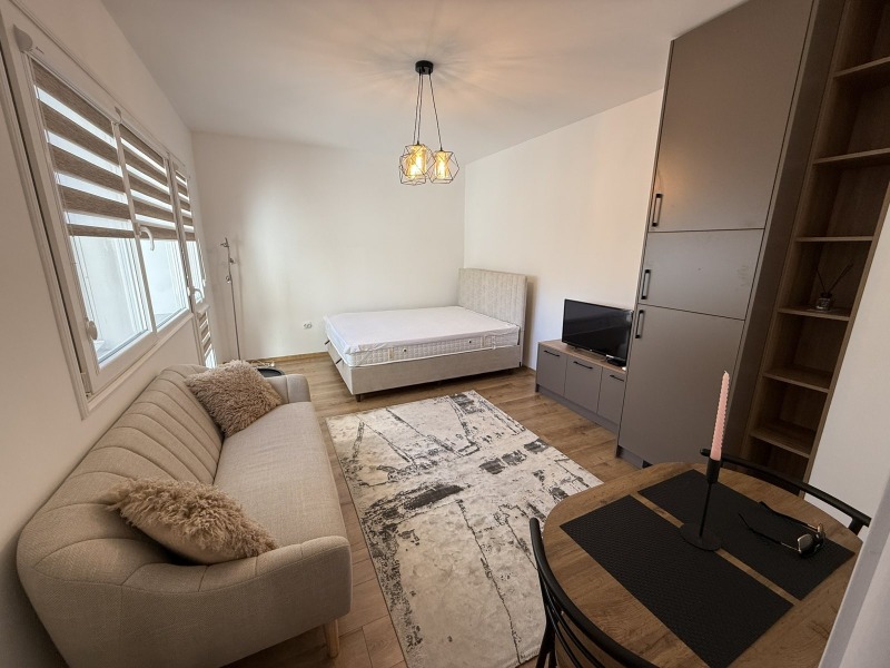 Дава под наем 1-СТАЕН, гр. Пловдив, Кючук Париж, снимка 6 - Апартаменти - 53080215