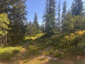 Под наем 2-СТАЕН, област Смолян, к.к. Пампорово • 500 € • 76160870 10