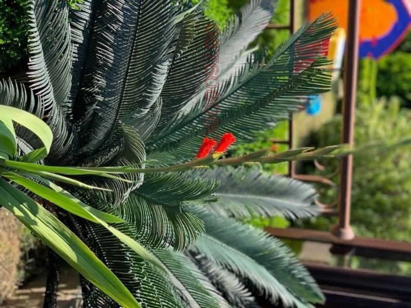 Дава под наем 2-СТАЕН, гр. Ахелой, област Бургас, снимка 5 - Апартаменти - 52780891