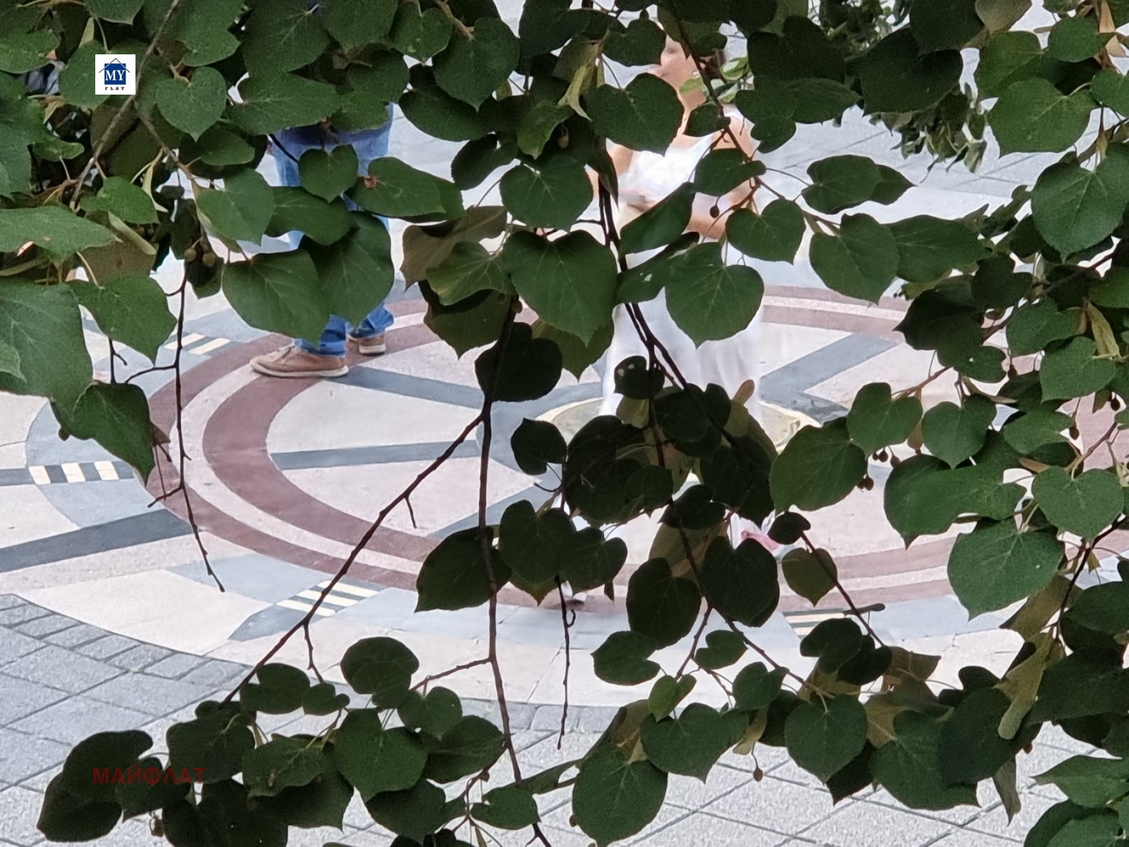 ���� ��� ���� 2-����� | Imot.bg � ����������� 1