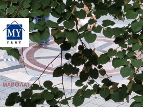 ������ ���� ��� ���� 2-�����