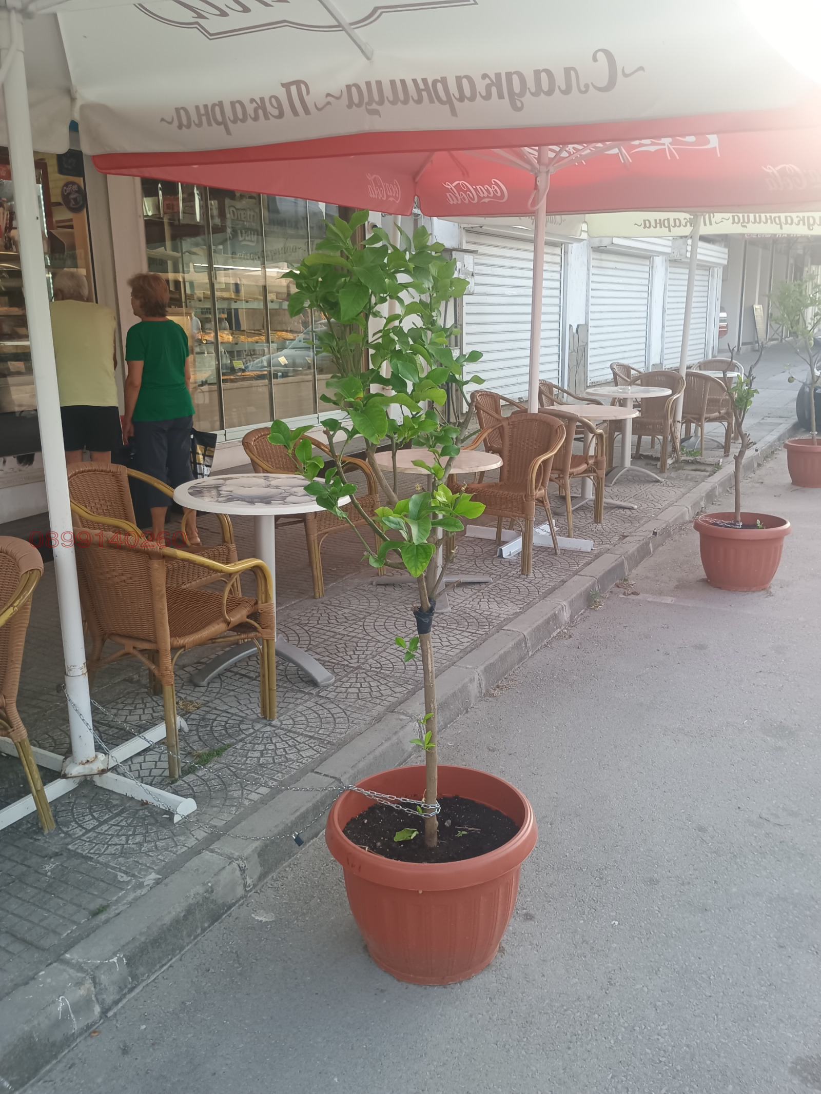 ���� ��� ���� ��������� | Imot.bg � ����������� 2
