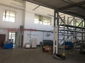 ����� ���� ��� ���� �������,���� �����, ��� ������� ����������>