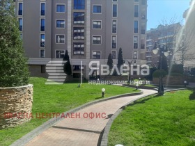 ����� ���� ��� ���� 3-�����,���� �����, ������� 3