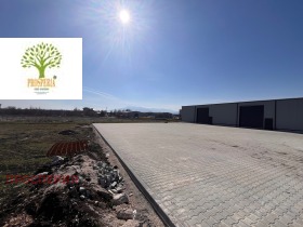 ����� ���� ��� ���� �����,��. ��������, ������ �����