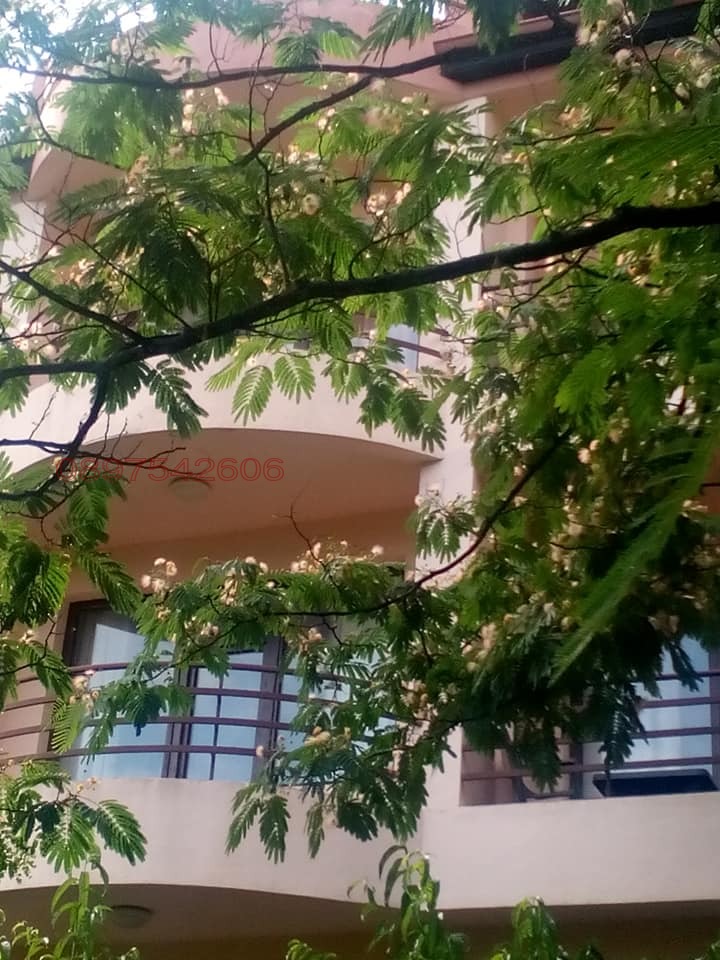 ���� ��� ���� ����� | Imot.bg � ����������� 1