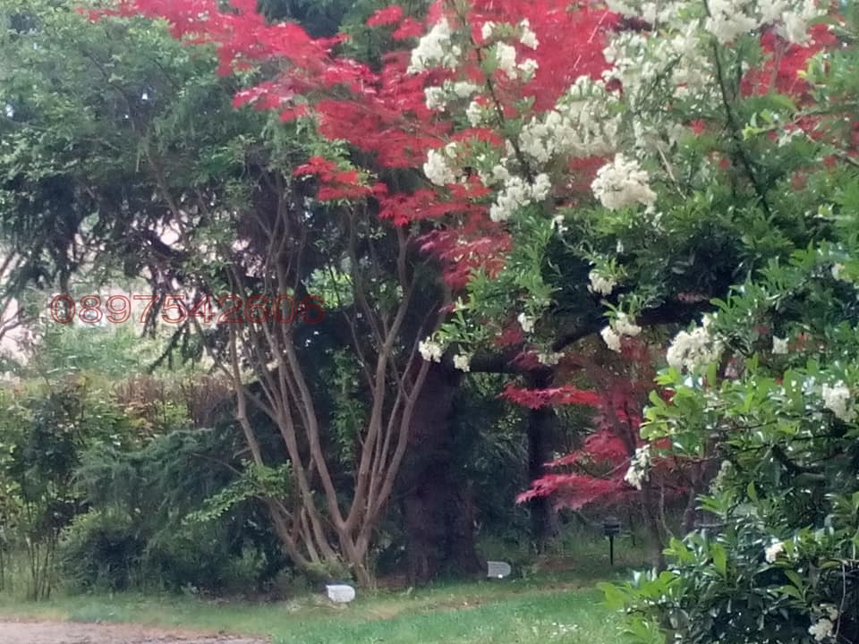 ���� ��� ���� ����� | Imot.bg � ����������� 3