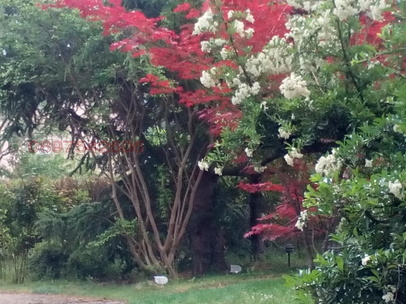 Дава под наем ХОТЕЛ, гр. Варна, м-т Ален мак, снимка 3 - Хотели - 53411962