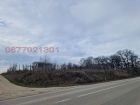 ����� ���� ��� ���� �����,��. ������, ������ ���������