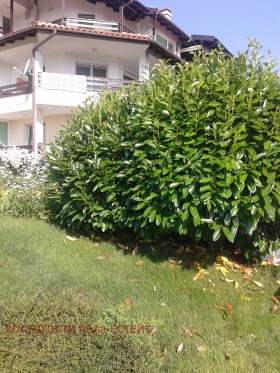 2 bedroom Kiten, region Burgas 2