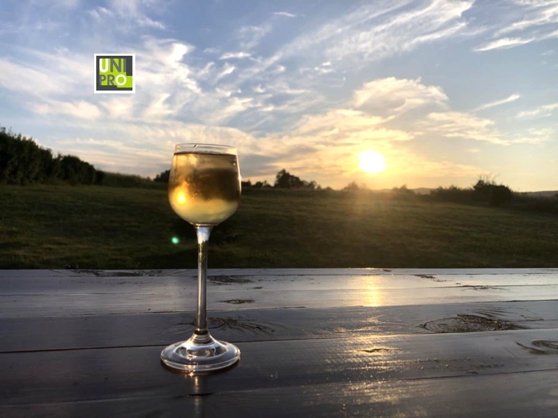 Дава под наем  Къща област София , гр. Долна баня , 160 кв.м | 94512841 - изображение [16]