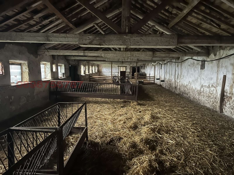 Дава под наем ПРОМ. ПОМЕЩЕНИЕ, с. Одърци, област Добрич, снимка 7 - Производствени сгради - 53346898