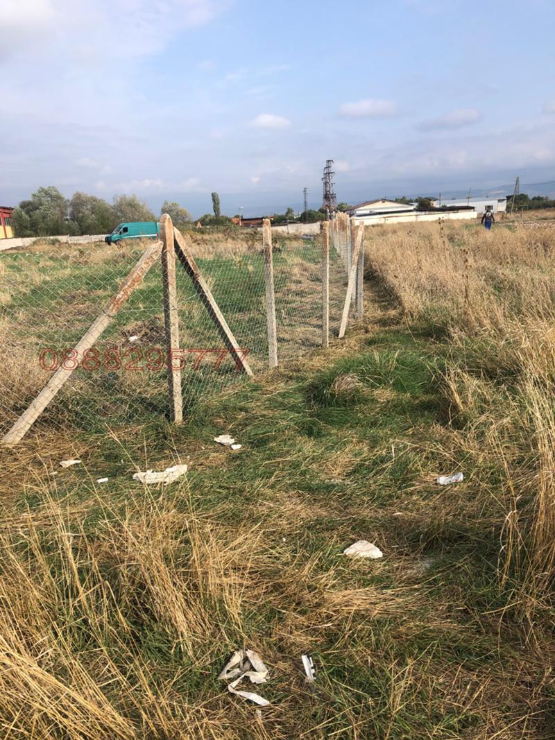 Дава под наем МЯСТО, с. Пролеша, област София област, снимка 2 - Парцели - 52785012