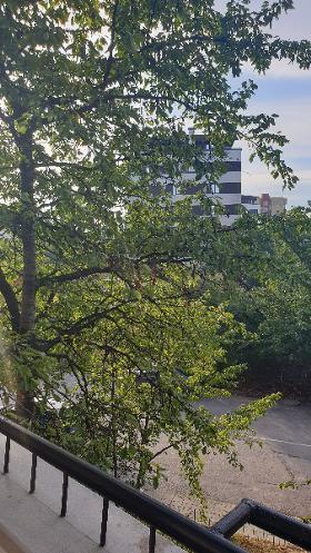 ���� ��� ���� 2-����� | Imot.bg � ����� ������ 12