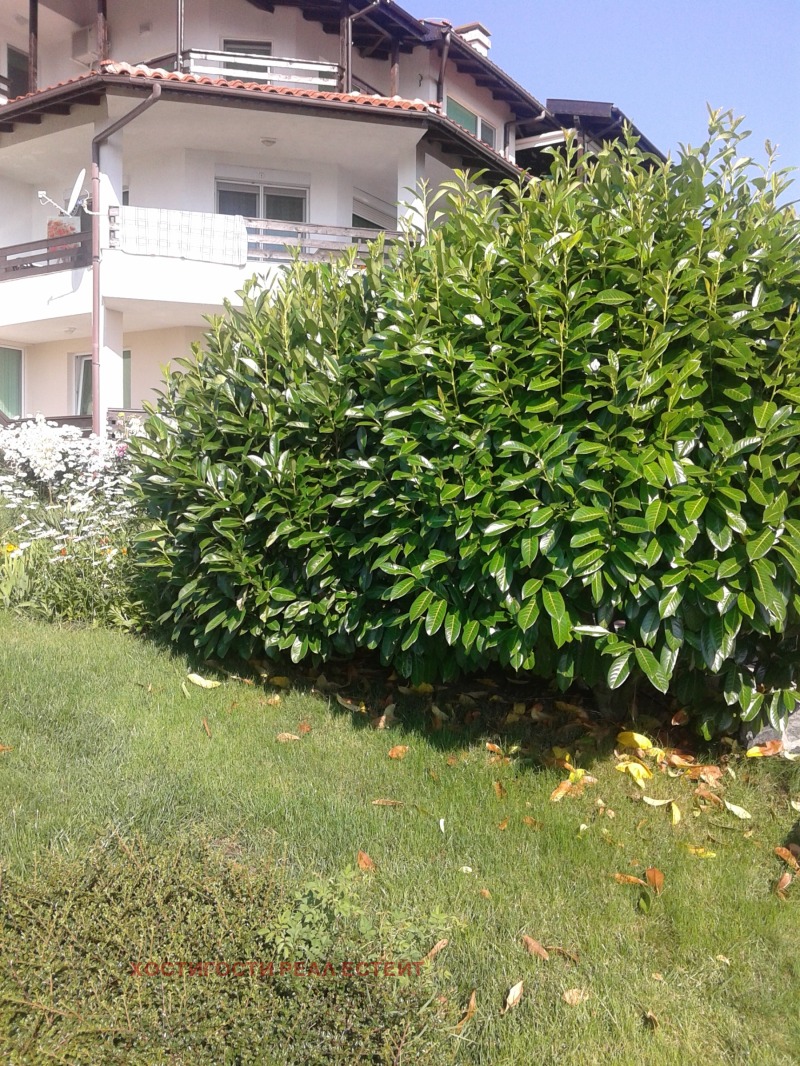 For Rent  2 bedroom region Burgas , Lozenets , 120 sq.m | 59095289 - image [10]