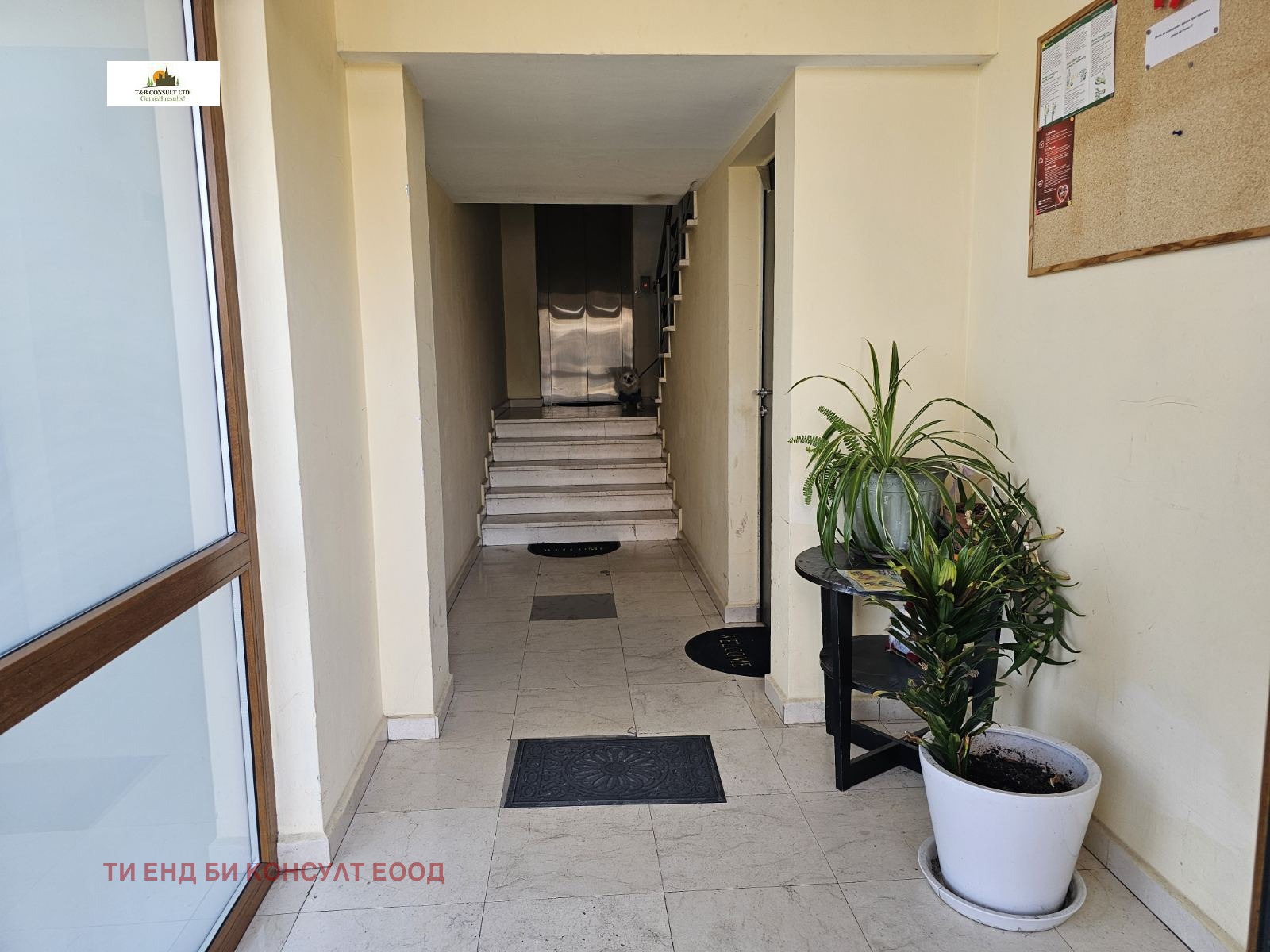 ���� ��� ���� 3-����� | Imot.bg � ����������� 3