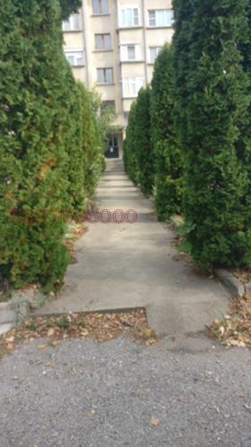 ����� ���� ��� ���� 4-�����,���� �������, ������