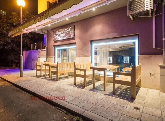 Дава под наем ЗАВЕДЕНИЕ, гр. Пловдив, Център, снимка 13 - Заведения - 52640021