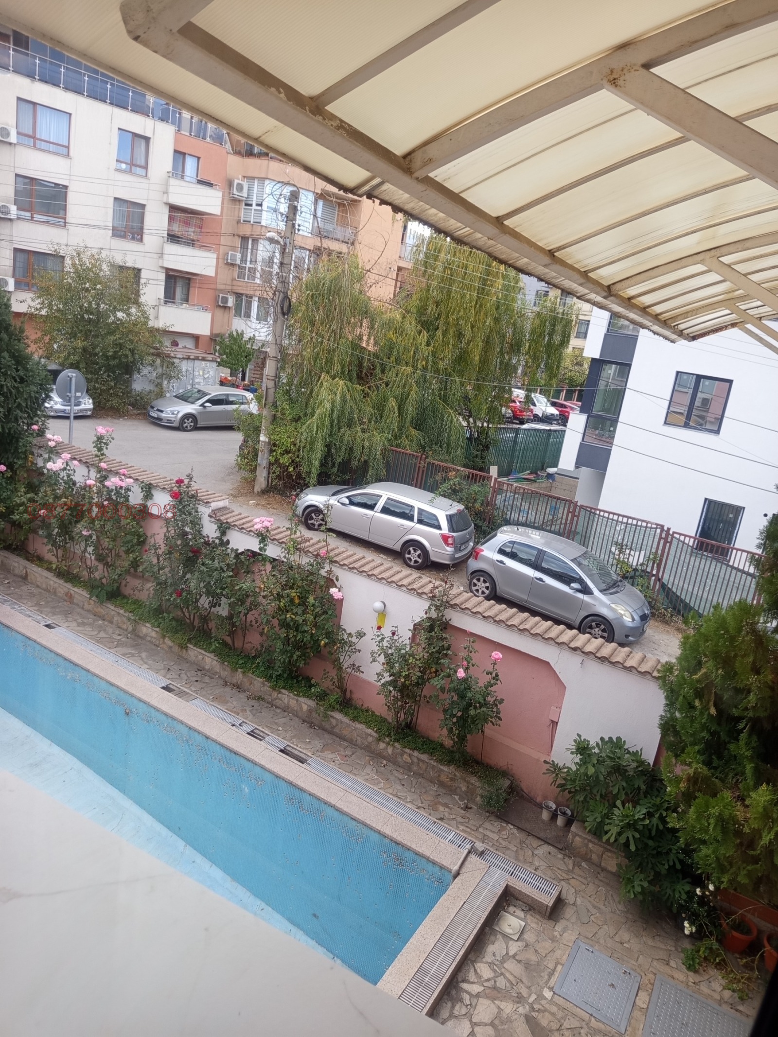 Стая, Витоша