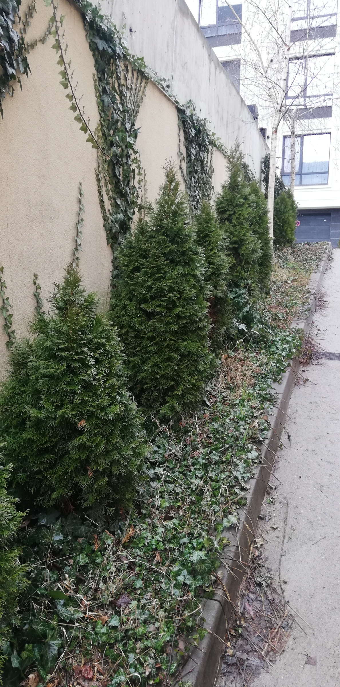 ���� ��� ���� 2-����� | Imot.bg � ����������� 15