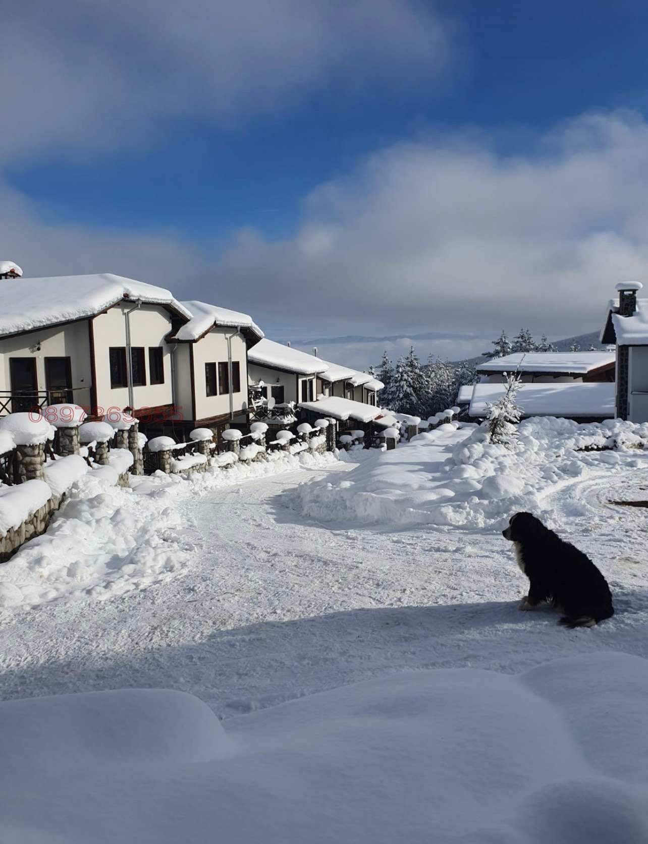 Дава под наем КЪЩА, гр. Банско, област Благоевград, снимка 15 - Къщи - 54032363