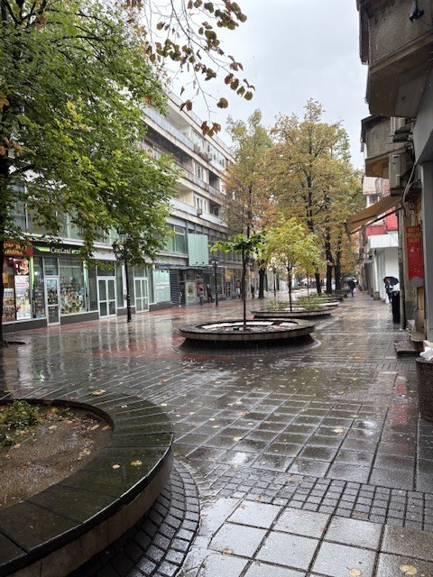 Kiadó  1 hálószoba Plovdiv , Centar , 90 négyzetméter | 85763662 - kép [17]