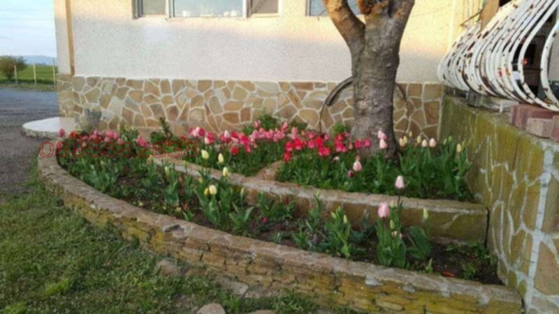 ���� ��� ���� ���� �� ���� | Imot.bg � ����������� 7