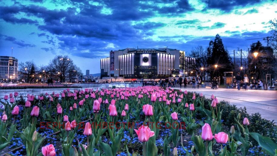 ���� ��� ���� ��������� | Imot.bg � ����������� 12