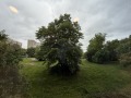 Дава под наем 2-СТАЕН, гр. София, Младост 3, снимка 9