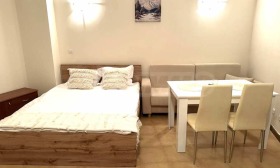 Studio Bansko, region Blagoevgrad 3