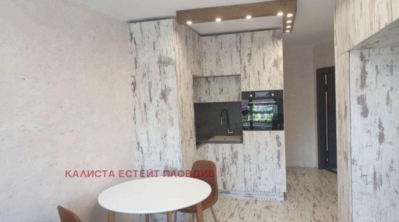 De inchiriat  Studio Plovdiv , Țentâr , 36 mp | 23411080