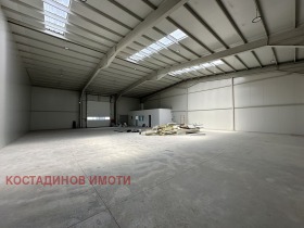 ����� ���� ��� ���� �����,���� �������, ������������ ���� - ��