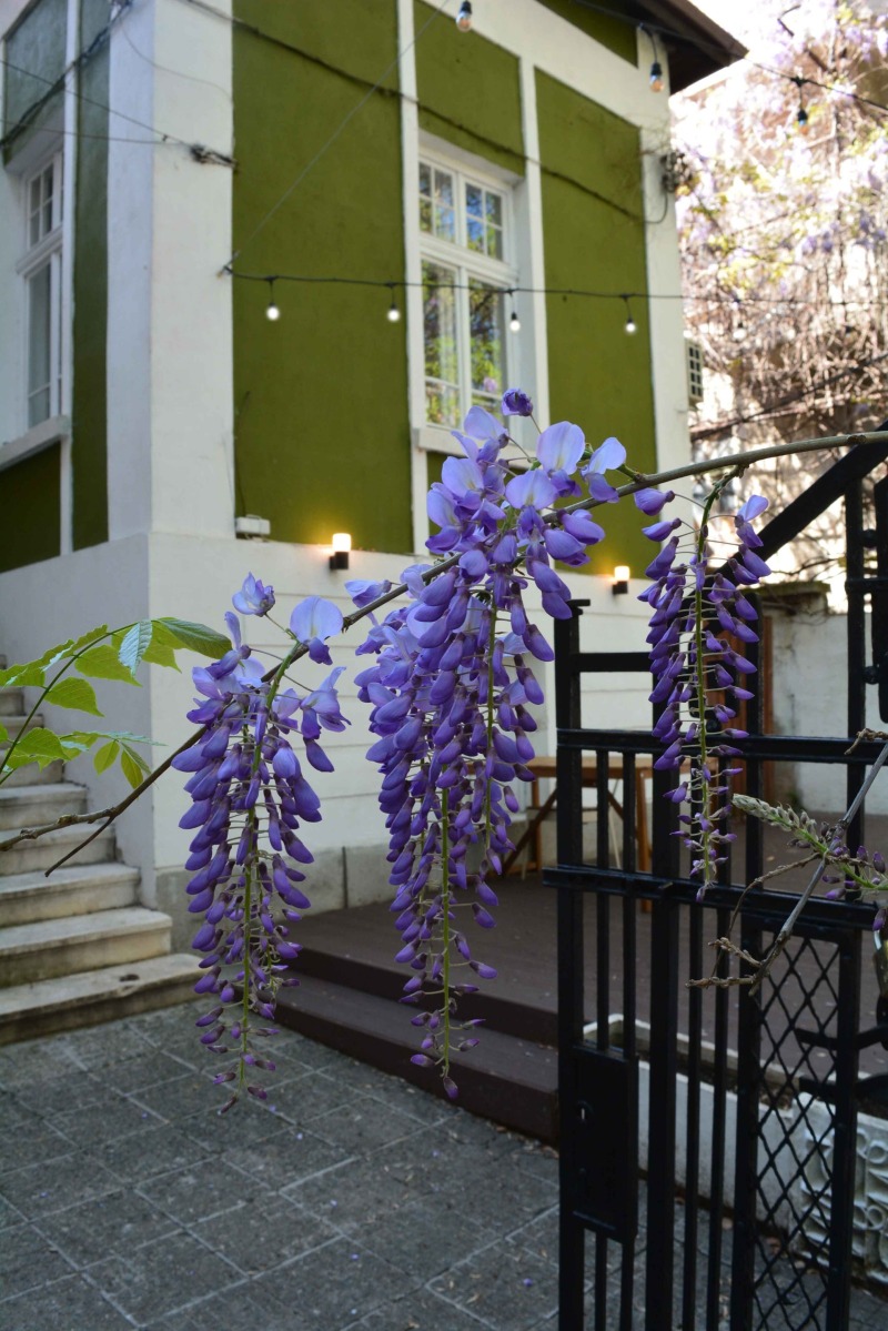 Para alugar  Bar; Cafeteria Sofia , Centar , 154 m² | 17995078 - imagem [7]