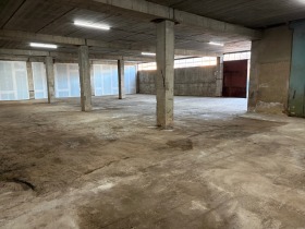 ����� ���� ��� ���� �����,���� ������, ���������� ���� - �����