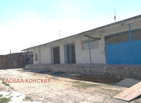 ������ ���� ��� ���� ����. ���������