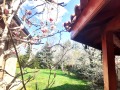 Под наем ЕТАЖ ОТ КЪЩА, град София, Горна баня • 750 € / 1466.87 лв. • 47901808 15