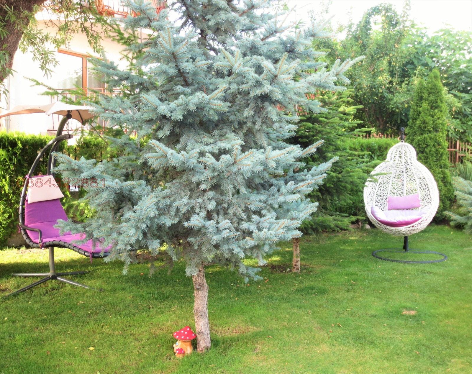 ���� ��� ���� 1-����� | Imot.bg � ����������� 15