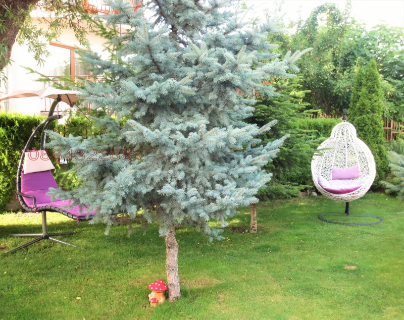 Дава под наем 1-СТАЕН, гр. Варна, к.к. Св.Св. Константин и Елена, снимка 15 - Апартаменти - 52785844