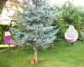 Дава под наем 1-СТАЕН, гр. Варна, к.к. Св.Св. Константин и Елена, снимка 7