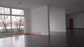 ����� ���� ��� ���� �������,���� �����, ����������� ������