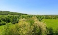 Под наем 1-СТАЕН, област Варна, с. Шкорпиловци • 190 € / 371.61 лв. • 75719756 9
