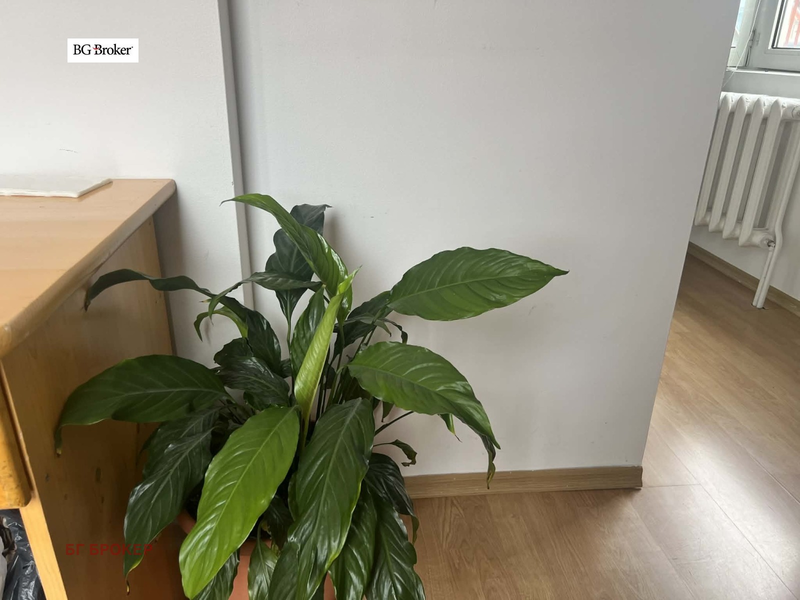 ���� ��� ���� ���� | Imot.bg � ����������� 2