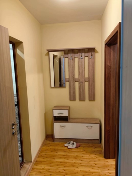 Дава под наем 2-СТАЕН, гр. София, Гео Милев, снимка 10 - Апартаменти - 53185405