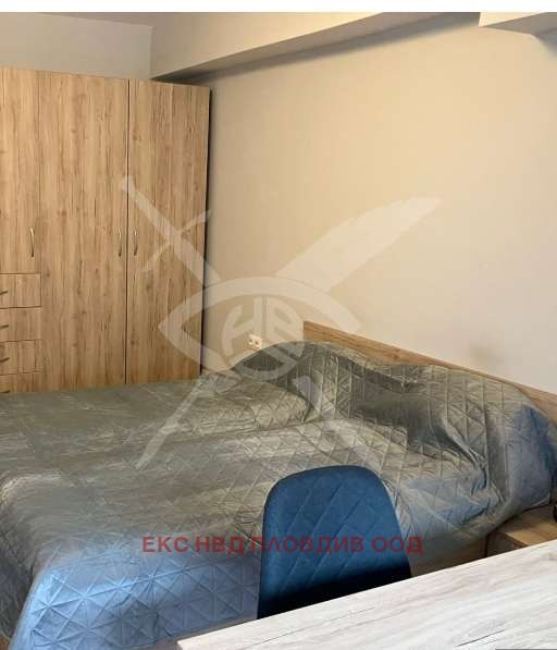 Дава под наем 2-СТАЕН, гр. Пловдив, Център, снимка 3 - Апартаменти - 54260174