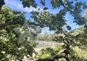 ���� ��� ���� 3-����� | Imot.bg � ����� ������ 13