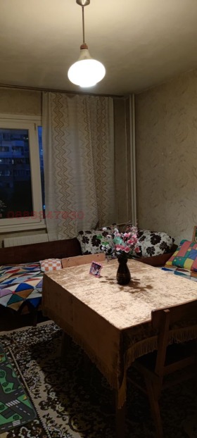 СТАЯ, 20 m2