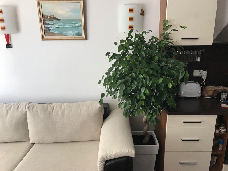 En renta  1 dormitorio Sofia , Manastirski livadi , 65 metros cuadrados | 90128786 - imagen [2]