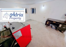 ����� ���� ��� ���� �����,���� �����, ������