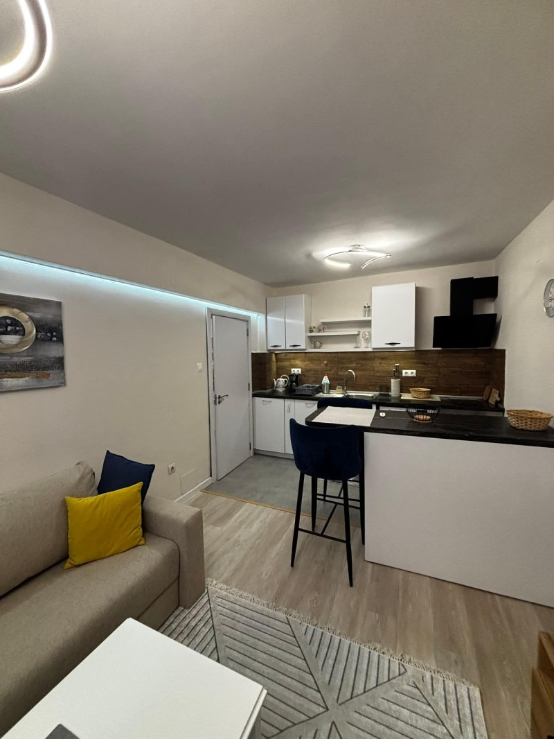 Дава под наем 2-СТАЕН, гр. София, Център, снимка 5 - Апартаменти - 52833131