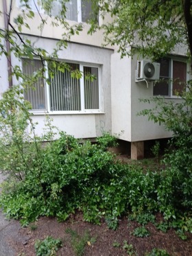 ���� ��� ���� 2-����� | Imot.bg � ����� ������ 16